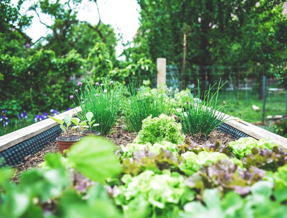choisir une serre de jardin
